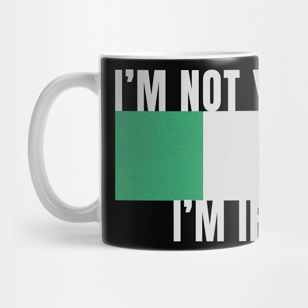 IM NOT YELLING IM IRISH IRELAND FLAG COLORS FUNNY by Sassee Designs